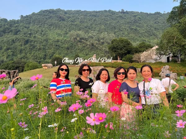 488657815 1118471040301495 6659664092994547953 N