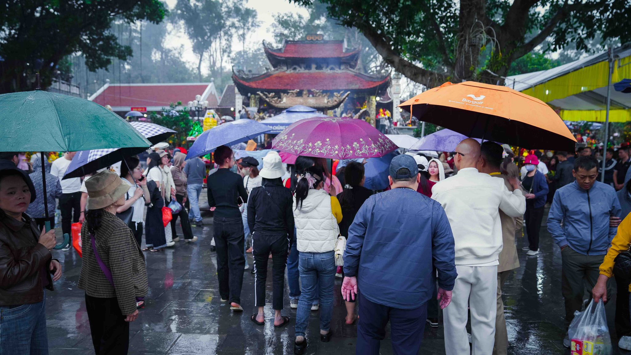 640299413 1460885672059431 5375683608020401629 N