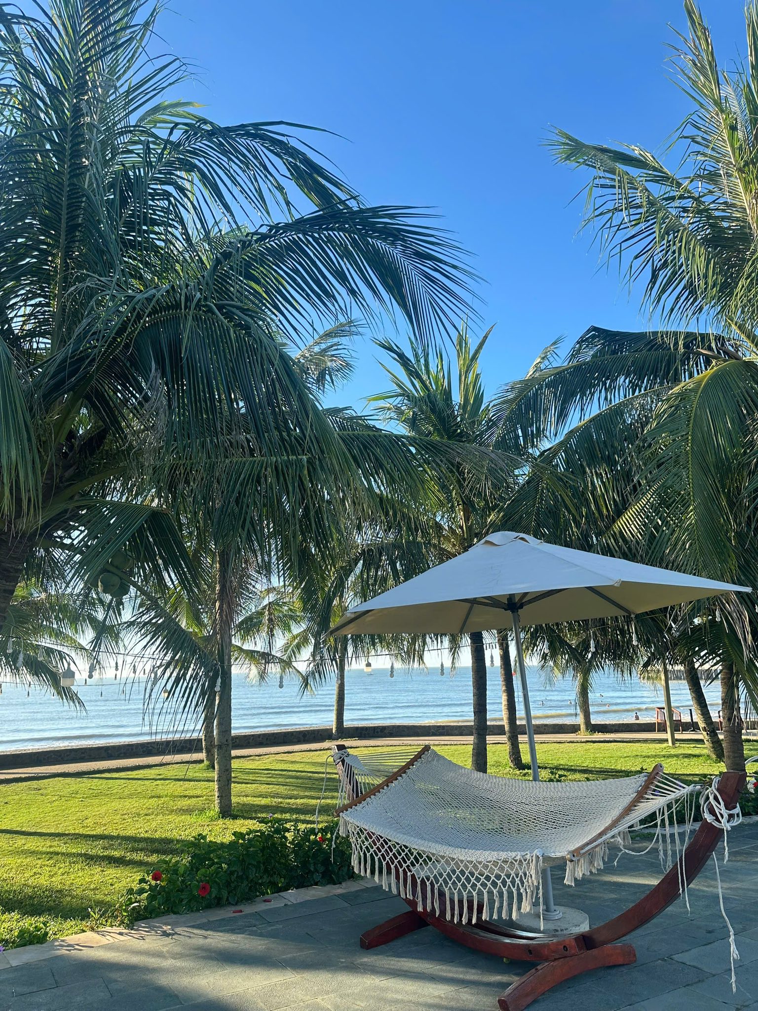 529123774 1558116965176399 2613563155799531064 N